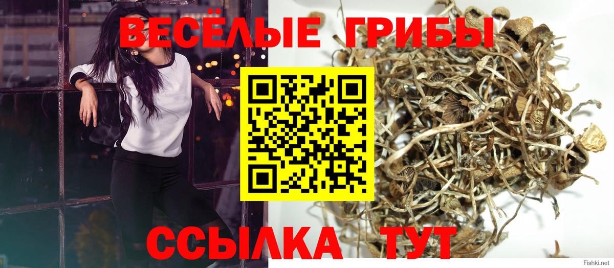 Псилоцибиновые грибы GOLDEN TEACHER Ливны